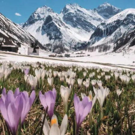 National By Mountain 3*